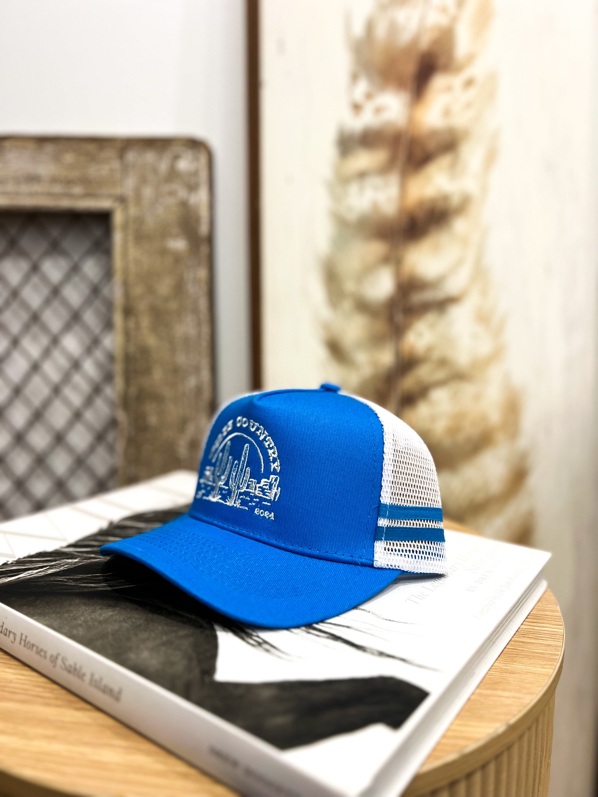 Kids Wilde Country Trucker Cap / BLUE DESERT