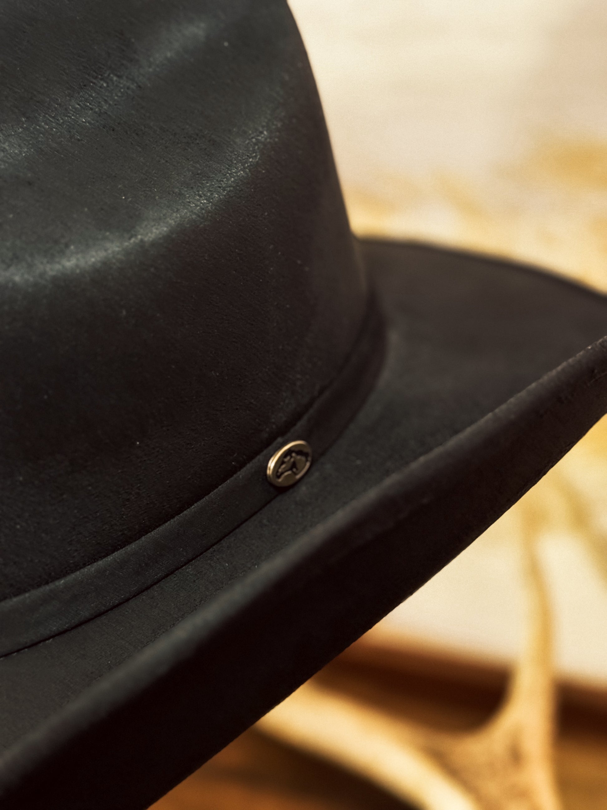 Pony Suede Cowboy Hat / BLACK