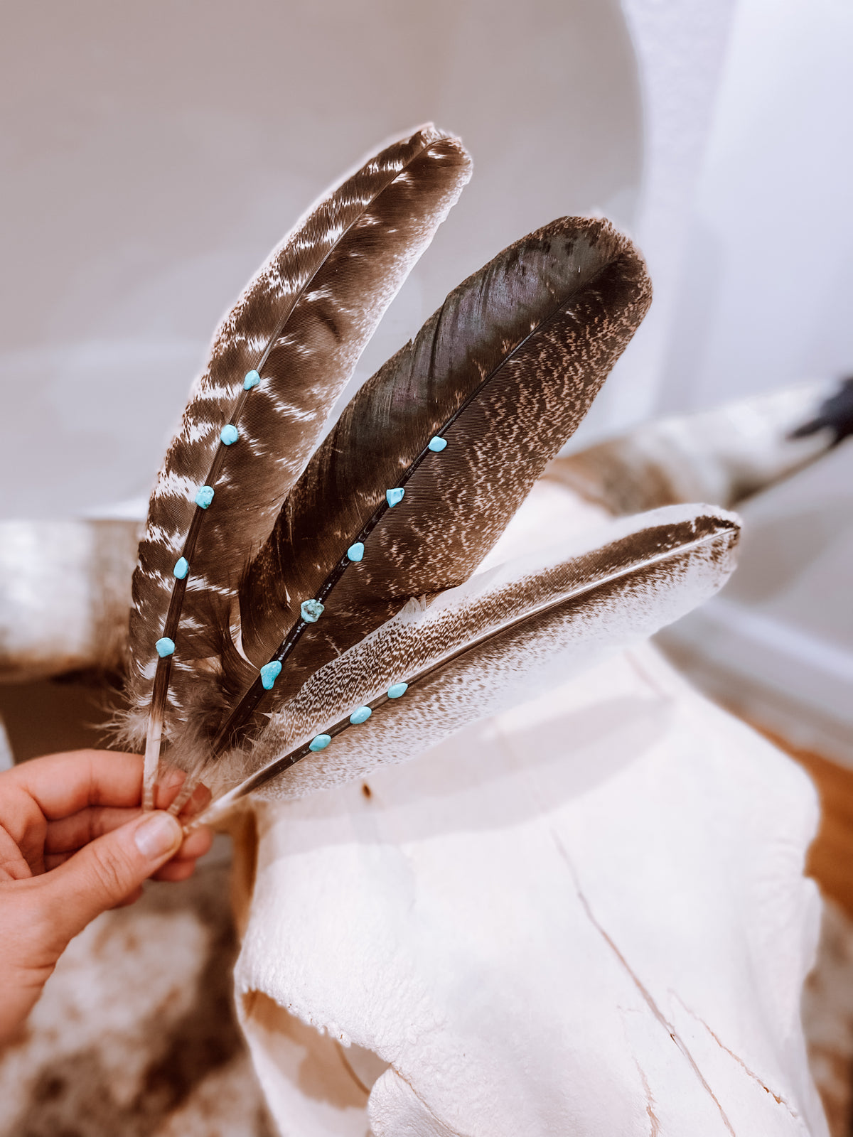 Turquoise Feather