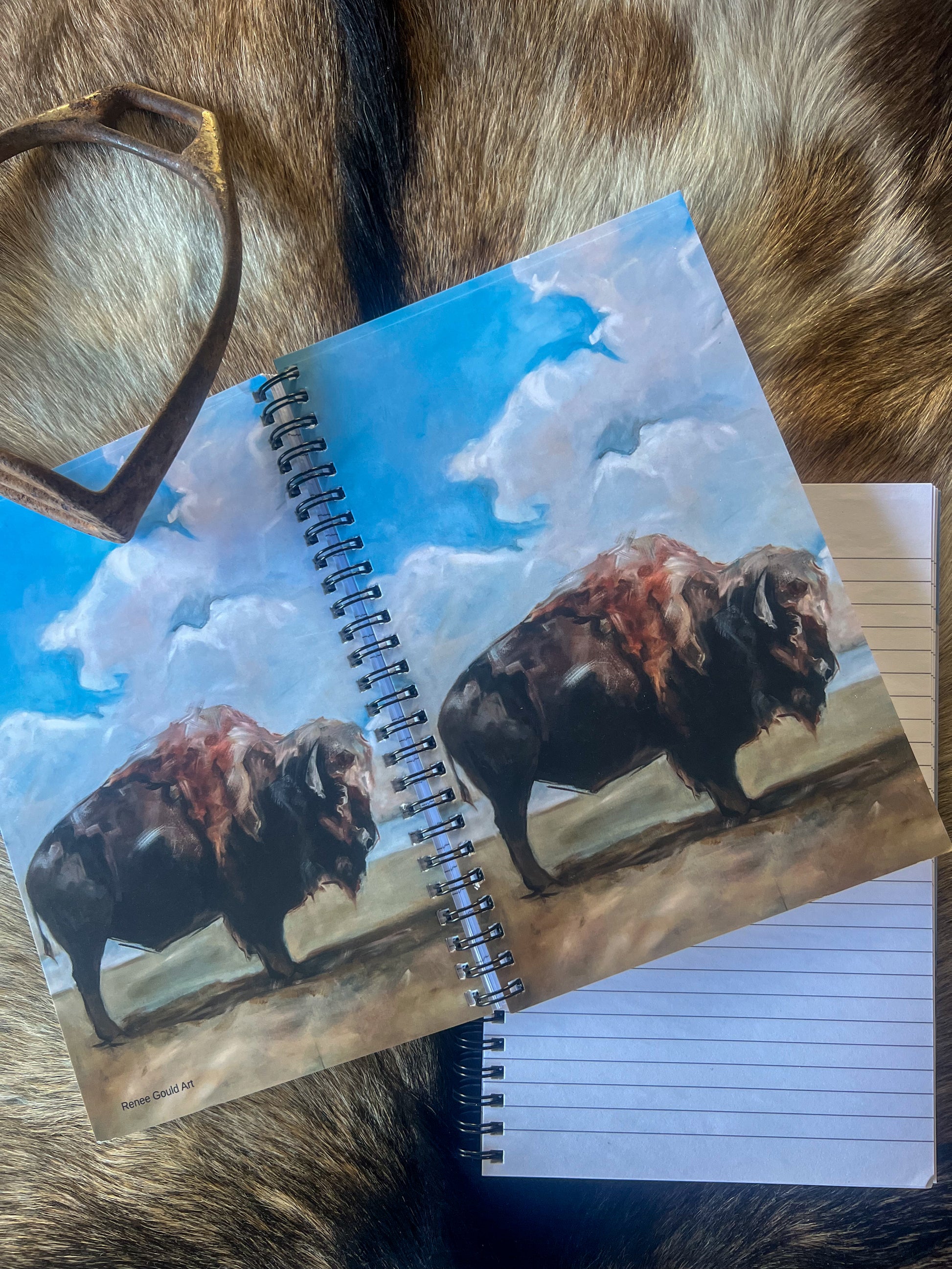 Bison Notebook