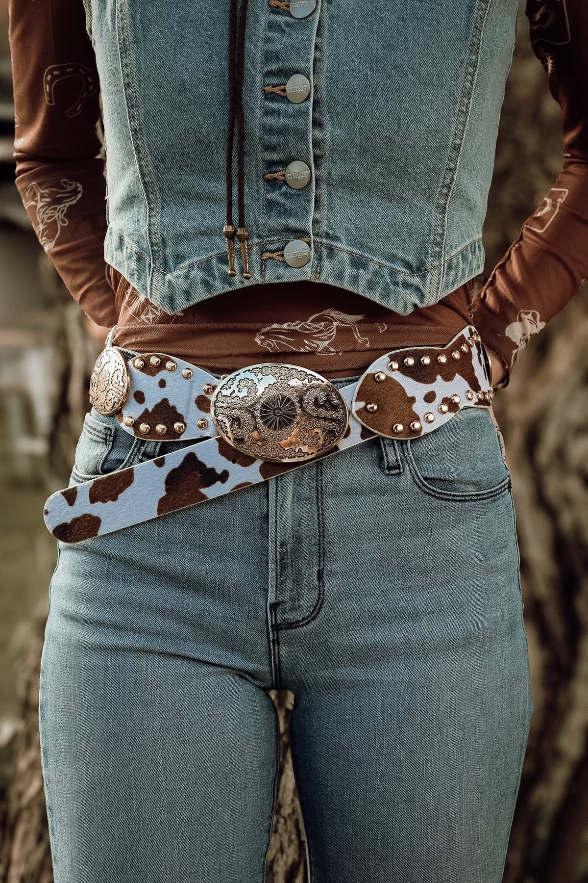 Nashville Disc Belt / COWPRINT