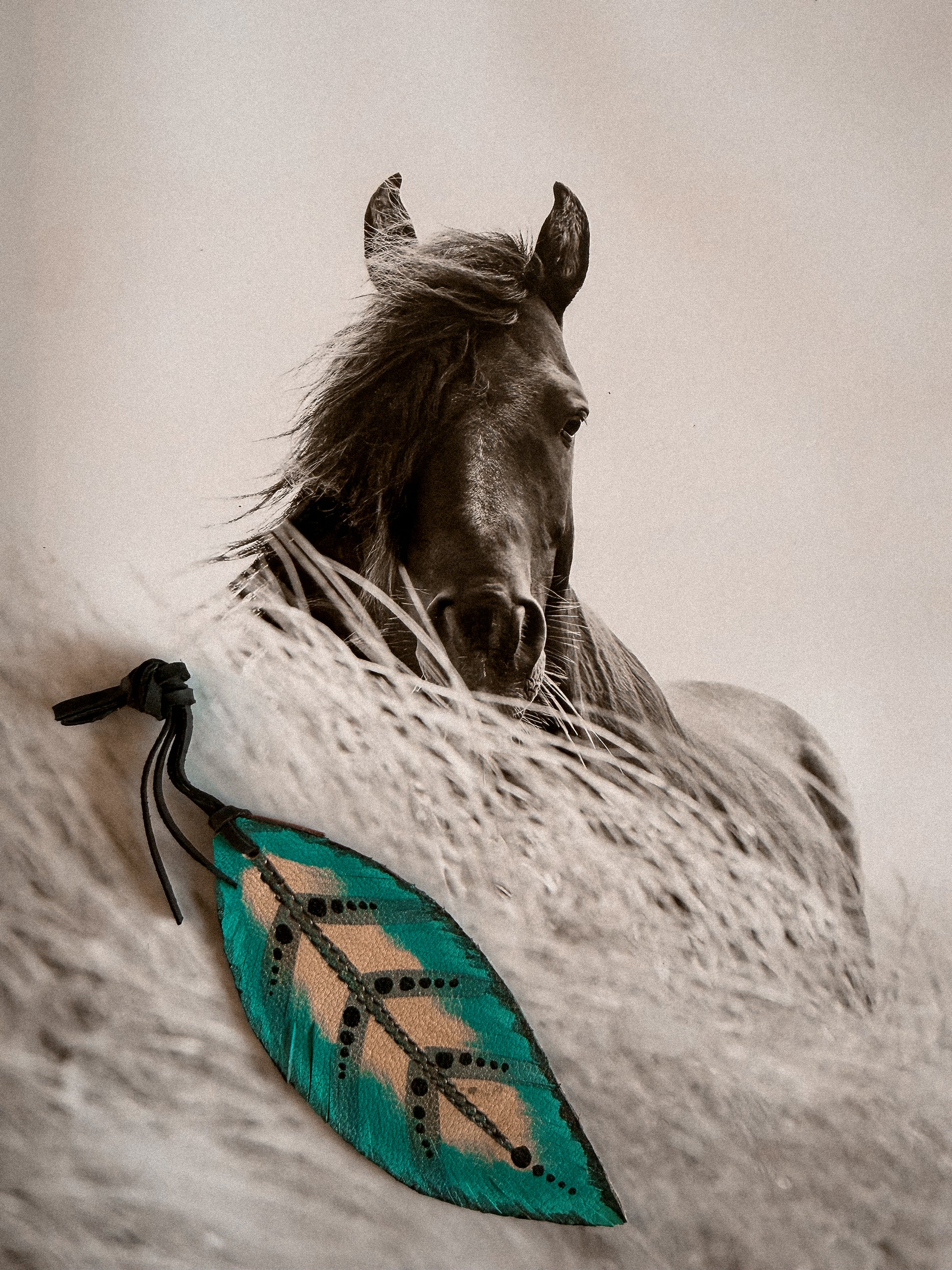 Genuine Leather Feather / TURQUOISE BLACK