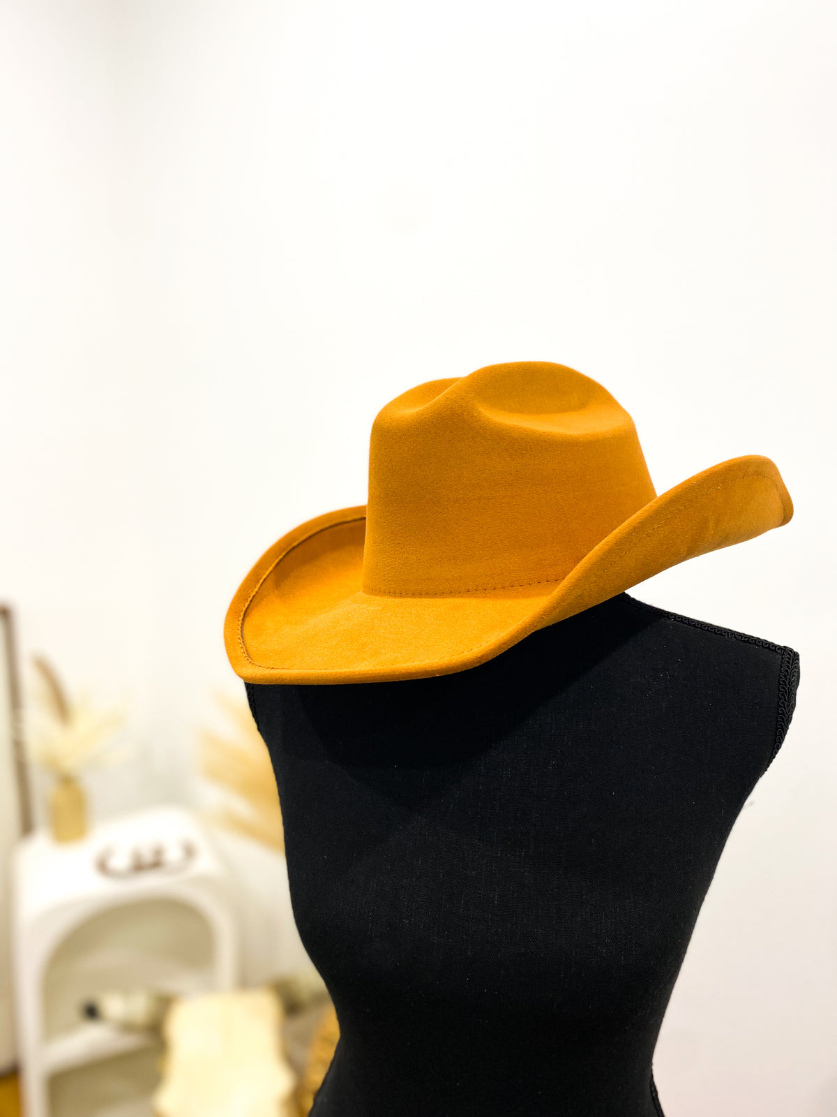 Basic Cowboy Hat / CAMEL