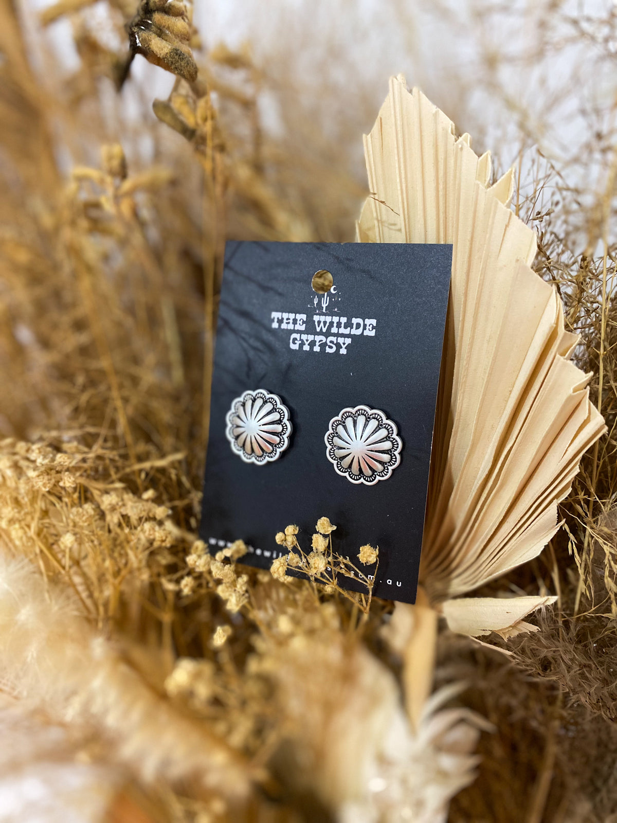 Nova Silver Earrings