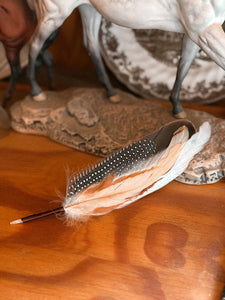 Cheyenne Hat Feather