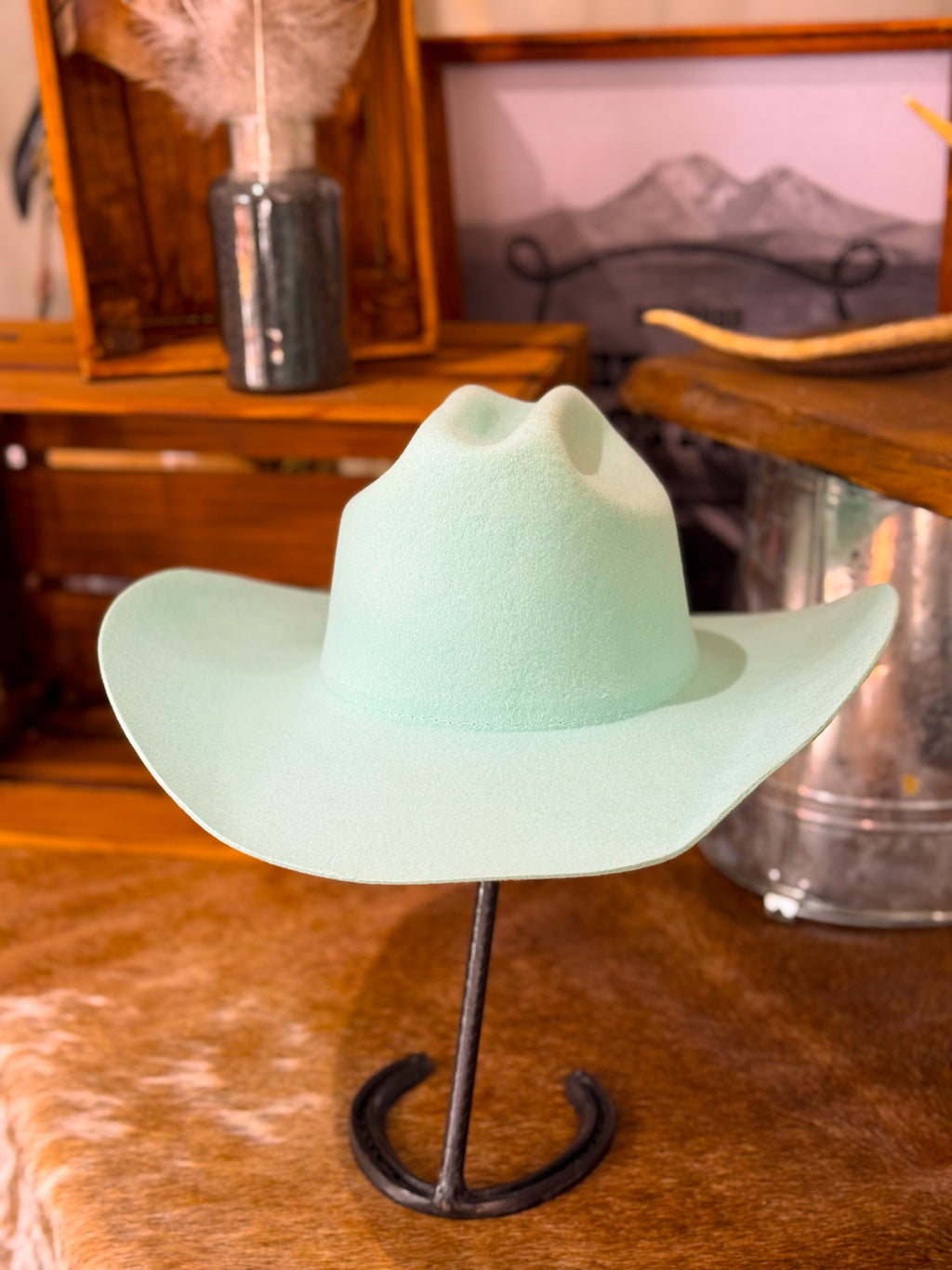 Wilde Drifter Cowboy Hat / MINT