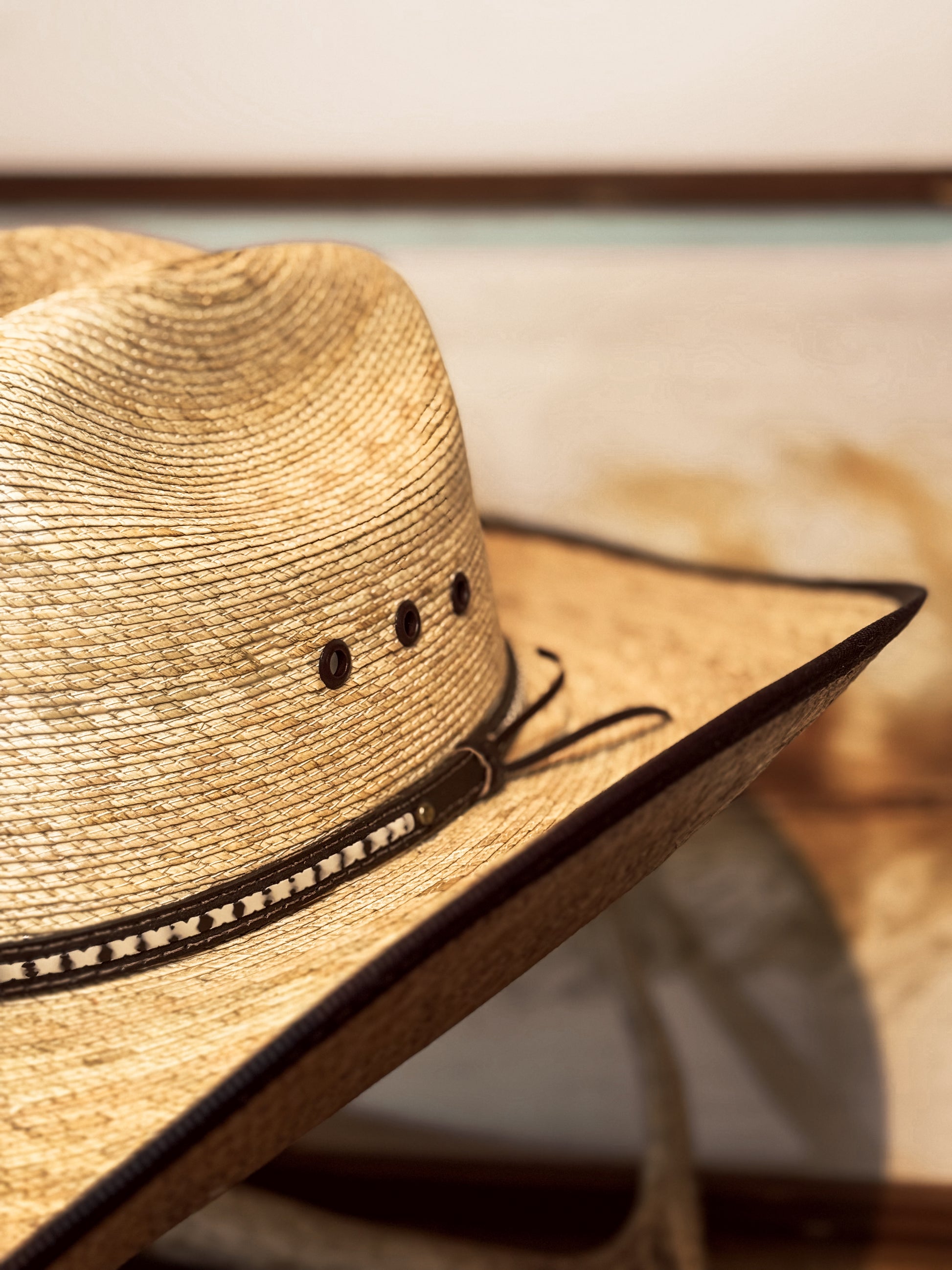Nelson Palm Straw Cowboy Hat / BROWN TRIM