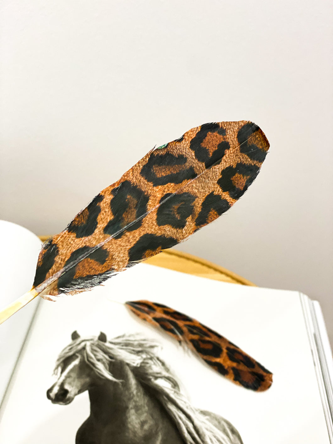 Leopard Feather