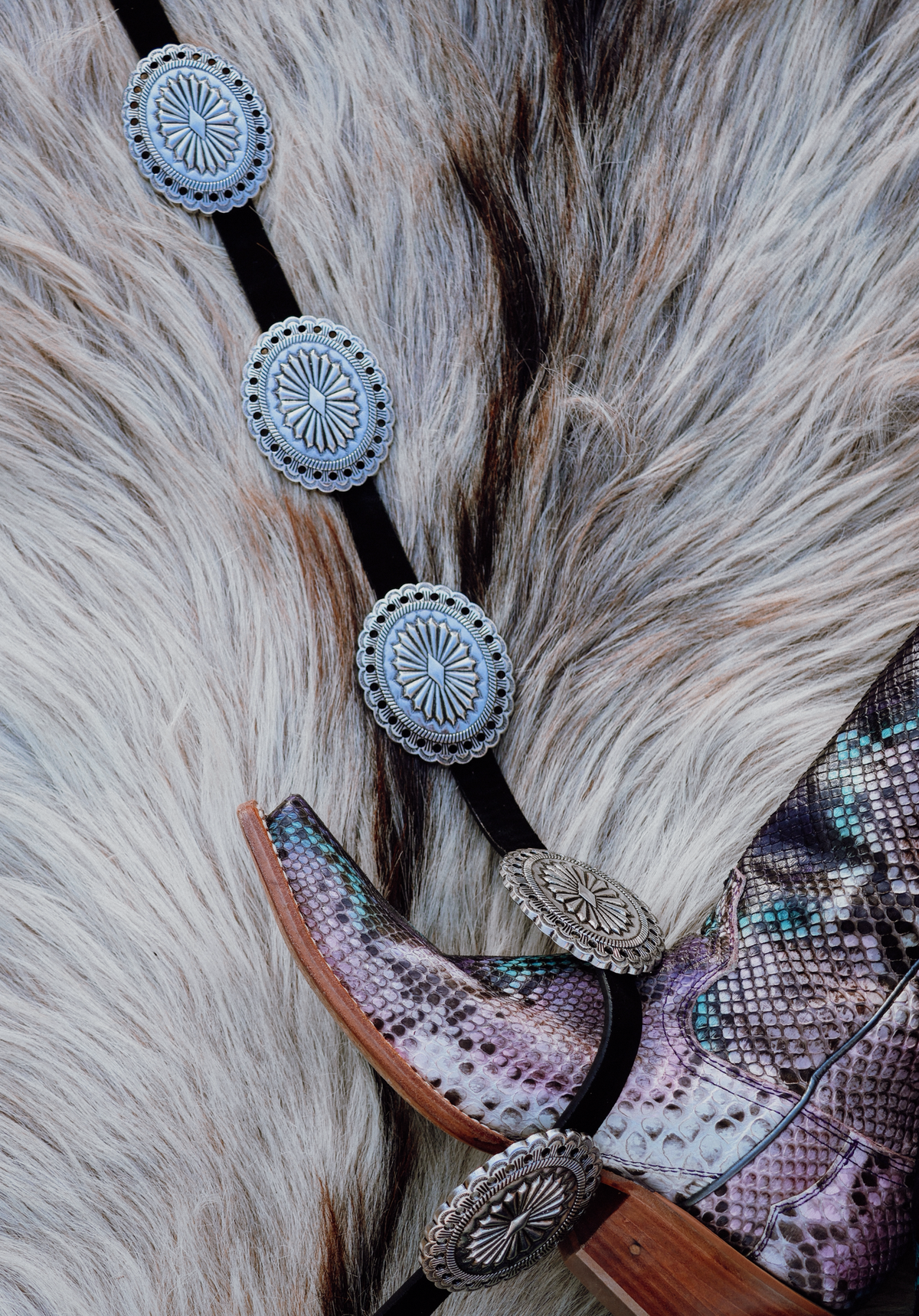 Western Concho Buckle Belt / SILVER