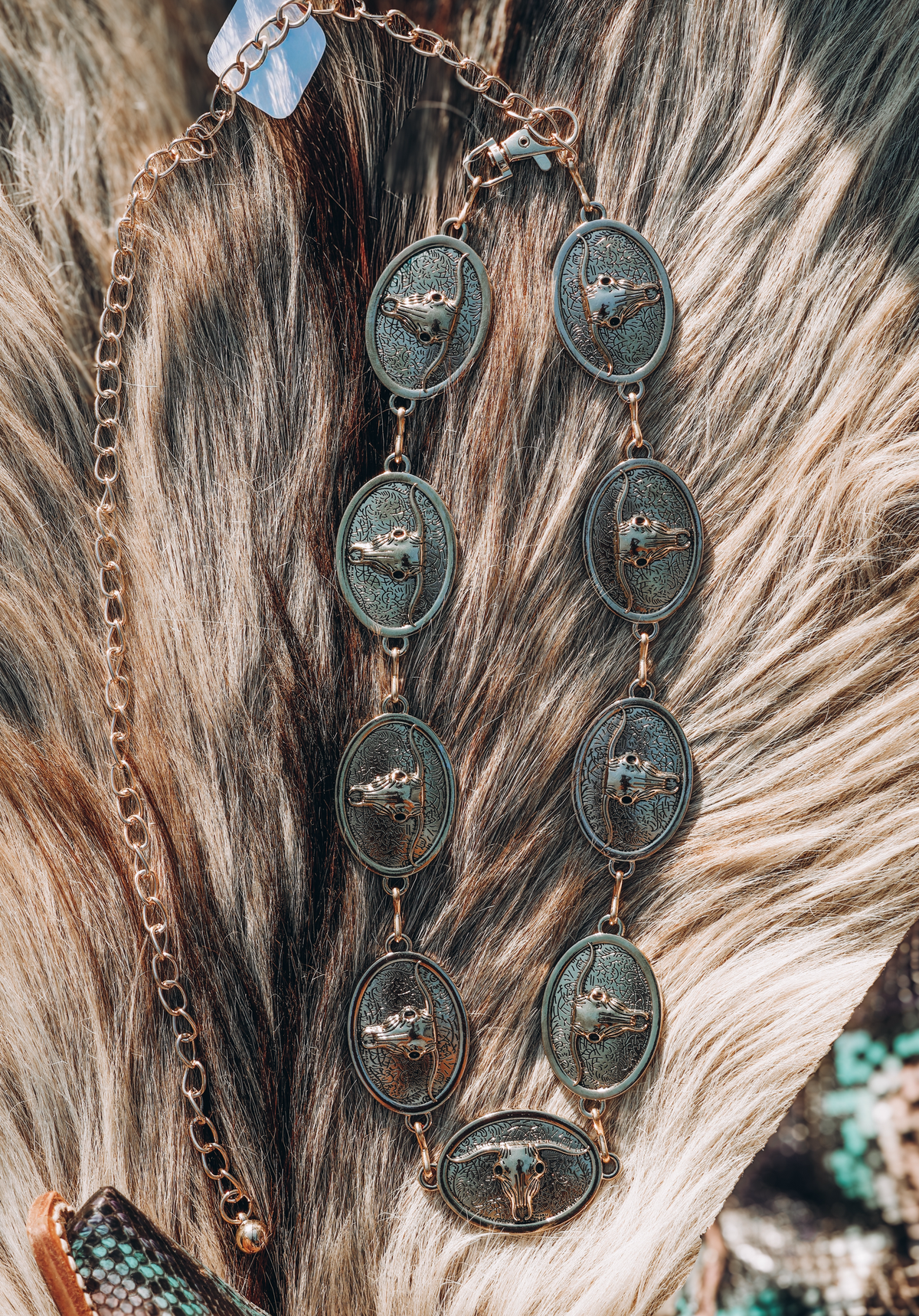 Steer Concho Belt / GOLD